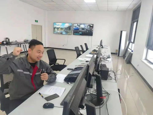 驕傲 丨中國中車首個(gè)風(fēng)電場一次送電成功 技術(shù)開發(fā)及技術(shù)服務(wù)